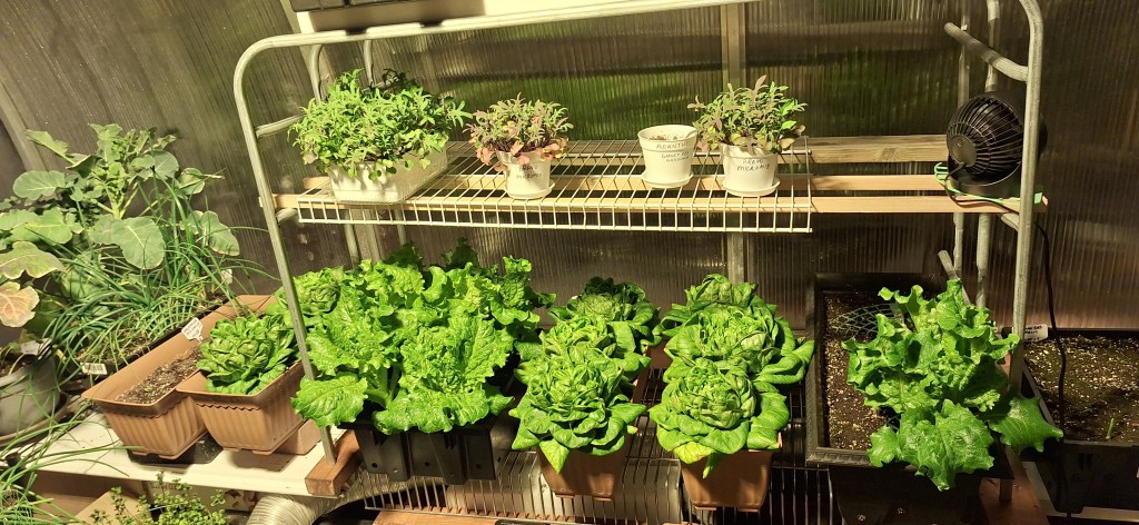 CN Voiceovers' actor & VO talent shares his green thumb 